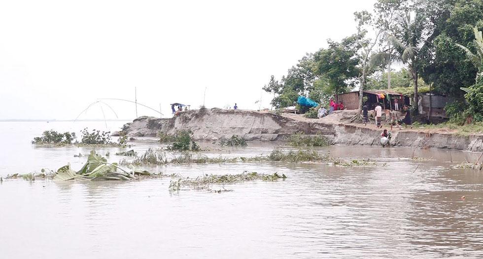 টানা ১২ দিন যমুনায় পানি বৃদ্ধিতে নদীভাঙন অব্যাহত, নিম্নাঞ্চল প্লাবিত