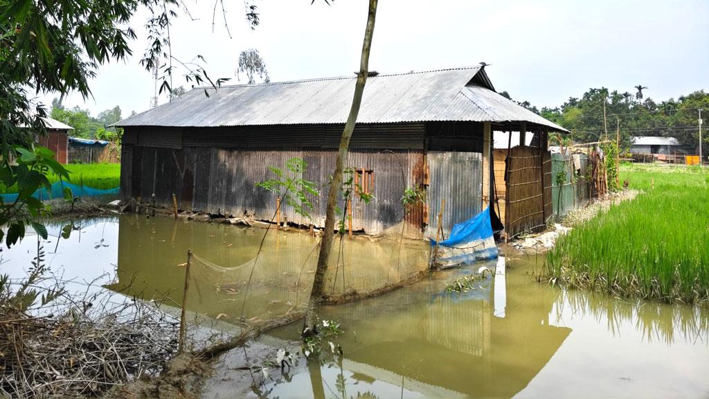 কুড়িগ্রামে লোকালয় থেকে নামছে পানি, বন্যা পরিস্থিতির উন্নতি