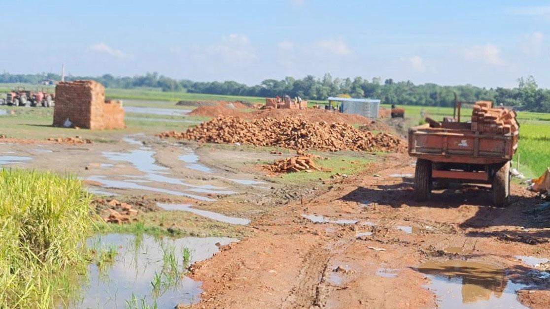 দুই ফসলি জমিতে ইটভাটা