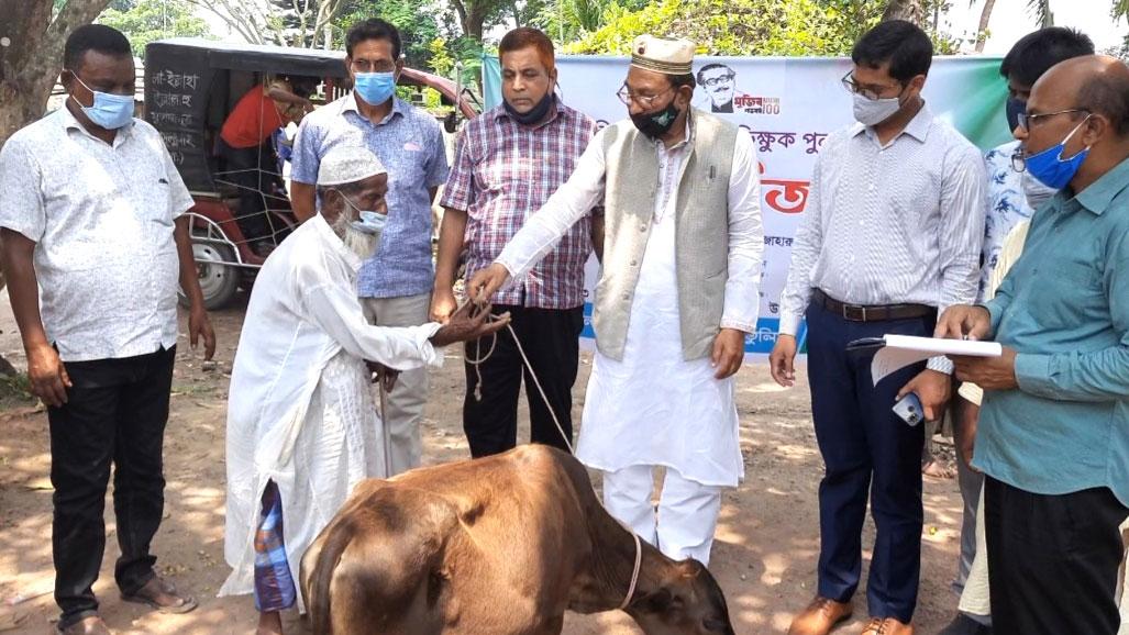 তেঁতুলিয়ায় ১০ ভিক্ষুক পেল গরু