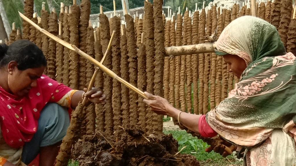 গ্যাসের মূল্যবৃদ্ধিতে চাহিদা বাড়ছে গোবরের লাকড়ির