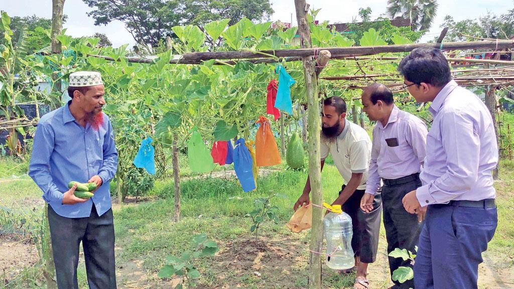 আধুনিক প্রযুক্তি ব্যবহার করে ফল ও সবজি চাষ