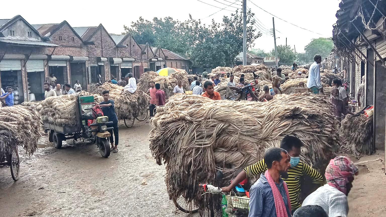 ভোগান্তির পাটে দামেও খরা