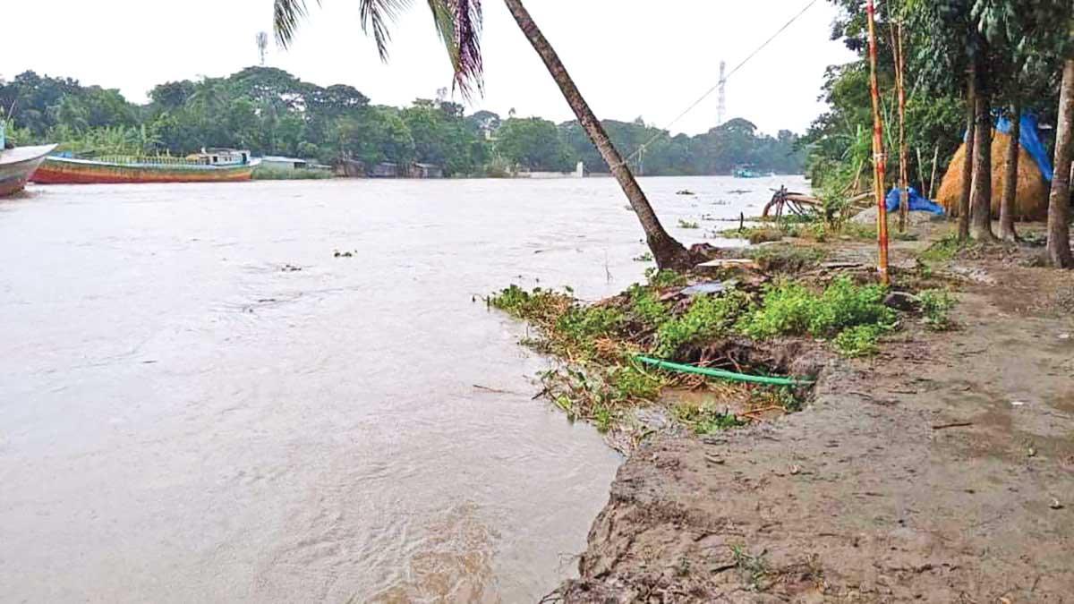 ভাঙন তীব্র, সর্বনাশা রূপে নদী