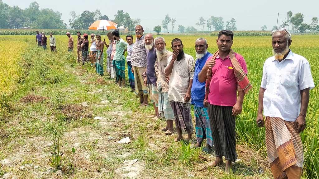 সেচের পানির দাবিতে খেতে কৃষকদের প্রতিবাদ