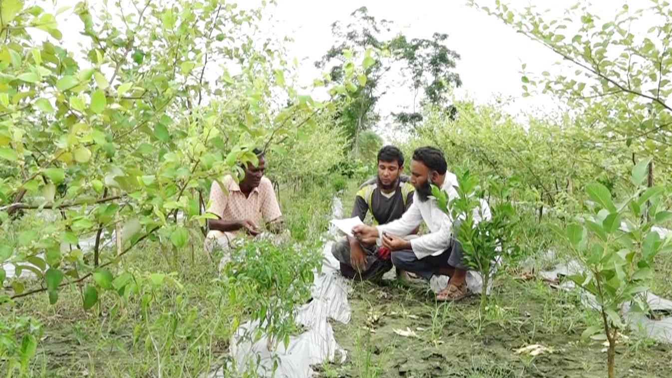 মাটিতে কমছে জৈব পদার্থ