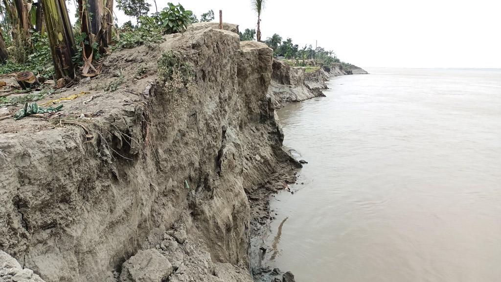 অসময়ে যমুনার ভাঙনে দিশেহারা নদীপারের মানুষ