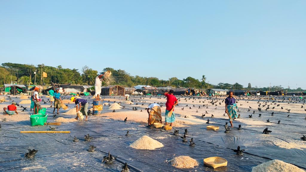 আনোয়ারায় সৈকতে চলছে শুঁটকি তৈরির ব্যস্ততা