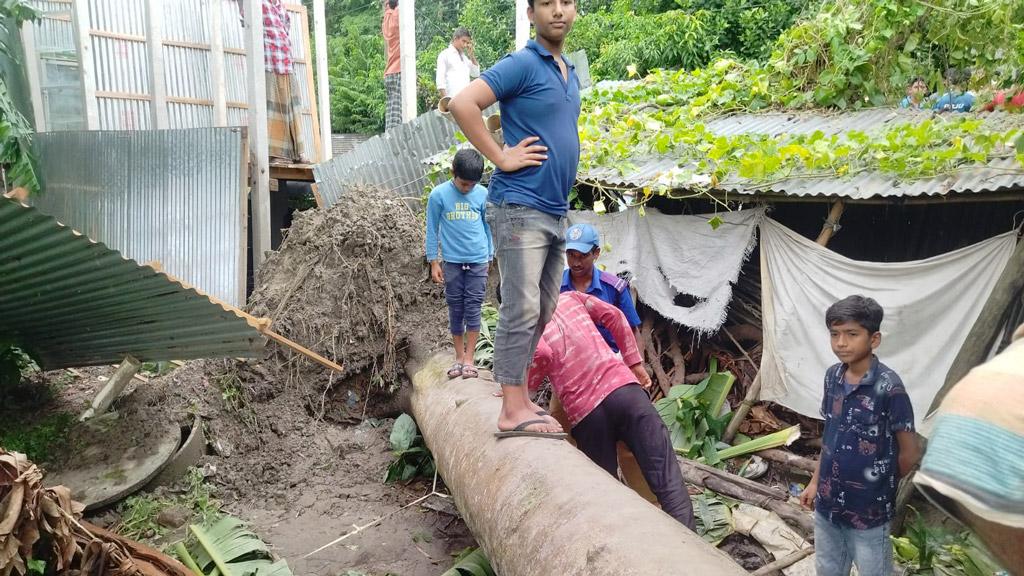 বসতঘরের ওপর গাছ পড়ে মা-মেয়ে নিহত, আহত বাবা