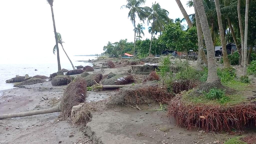 আজ ১২ নভেম্বর, এখনো ভয়াল সেই ঘূর্ণিঝড়ের কথা স্মরণ করে উপকূলবাসী