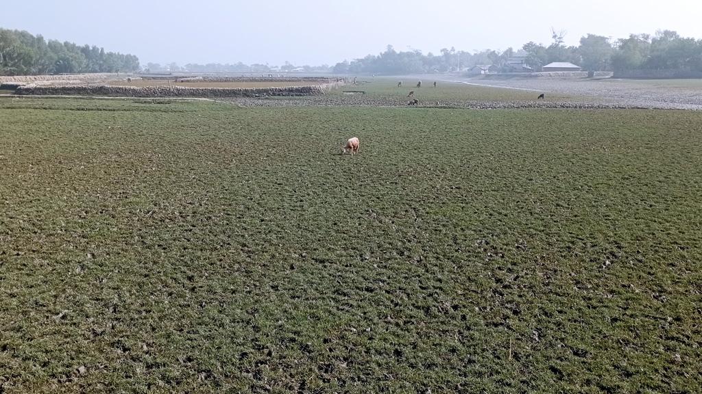 অস্তিত্বসংকটে শিবসা নদী