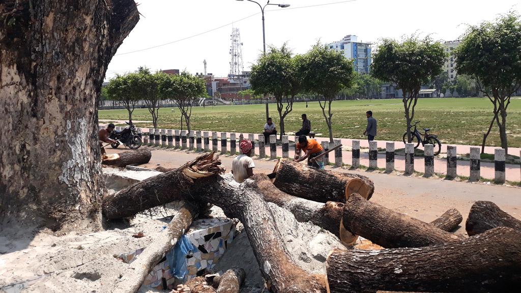 কাটা হচ্ছে ইতিহাসের সাক্ষী