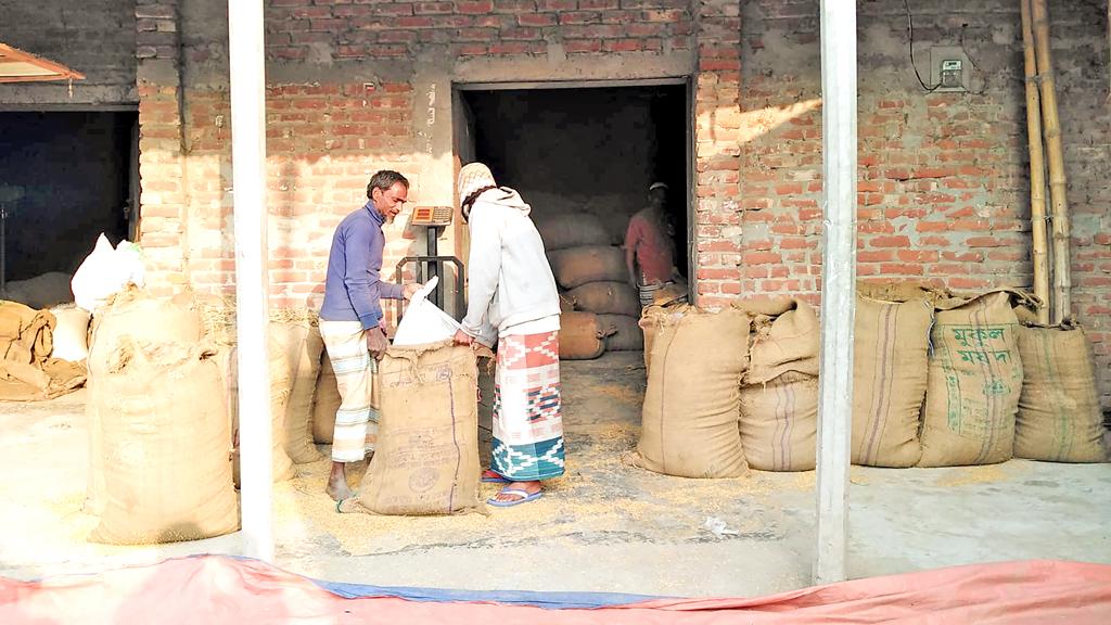 ১ কেজি ধানও সংগ্রহ হয়নি