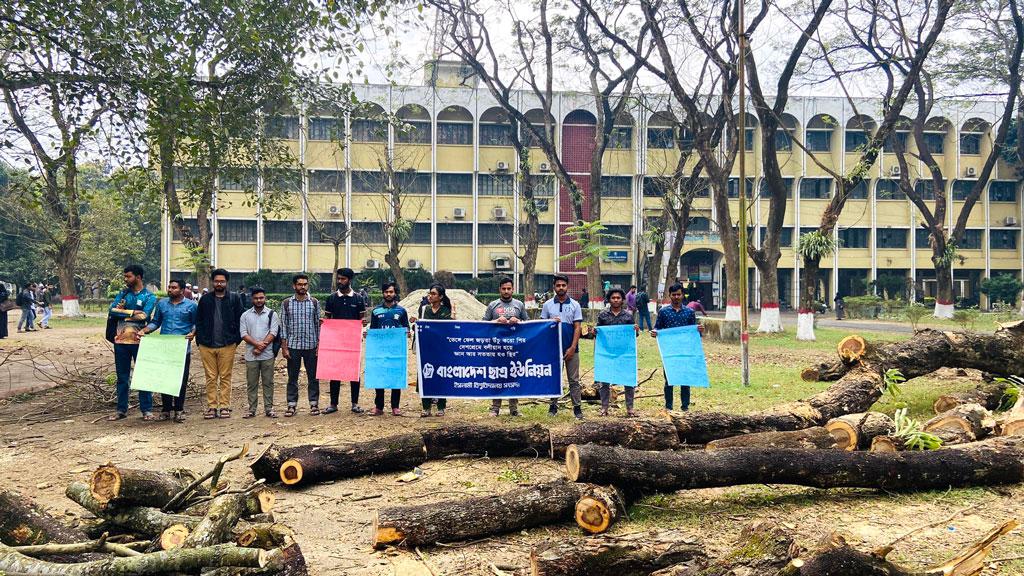 ইসলামী বিশ্ববিদ্যালয়ে গাছ কাটার ঘটনায় ক্ষোভ, নানান কর্মসূচি