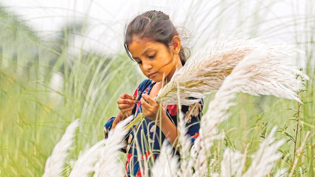 নারী: শক্তিরূপেণ সংস্থিতা