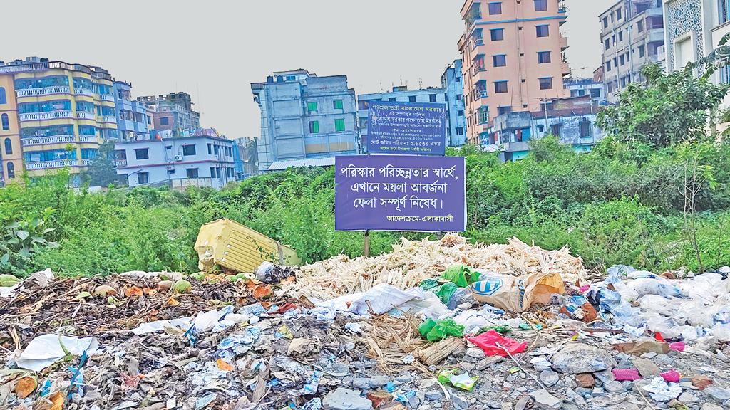 মহাসড়কের পাশের ভাগাড়, অতিষ্ঠ যাত্রী–এলাকাবাসী