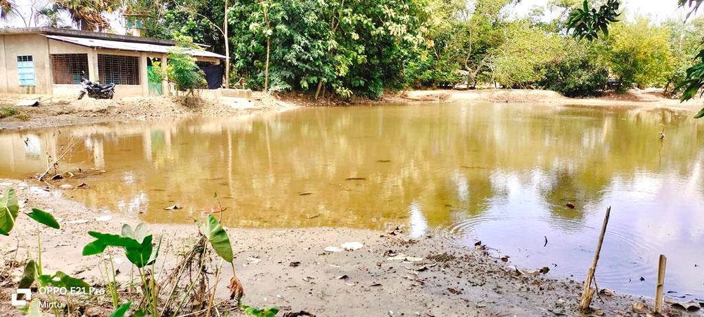 মুহুরি নদীর বাঁধে ভাঙনের কারণে পলি জমে ভরাট ৫০ পুকুর 