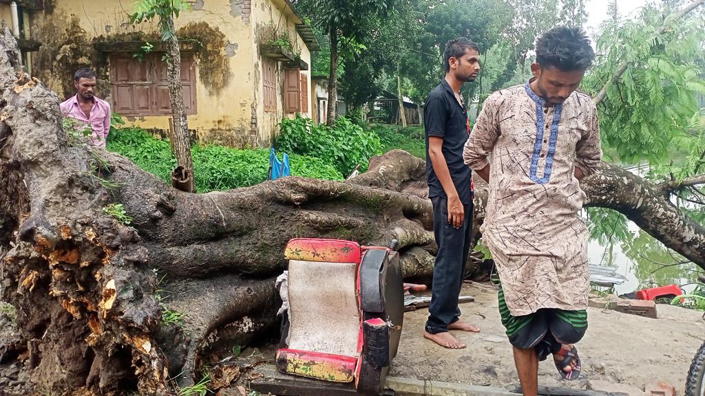 শতবর্ষী কৃষ্ণচূড়ার নিচে পড়ে প্রাণ গেল নরসুন্দরের