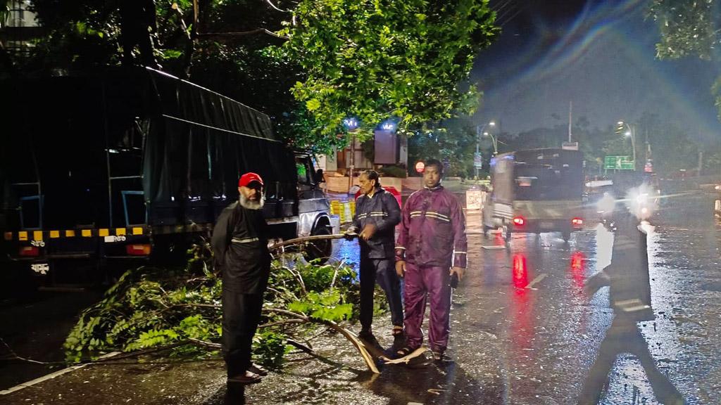 ঘূর্ণিঝড়ে উপচে পড়া ২ শতাধিক গাছ সরিয়েছে ডিএনসিসি