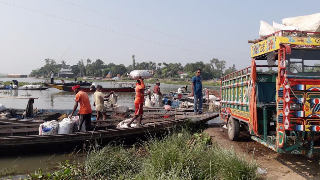 শামুক নিধনের উৎসব হুমকিতে জীববৈচিত্র্য