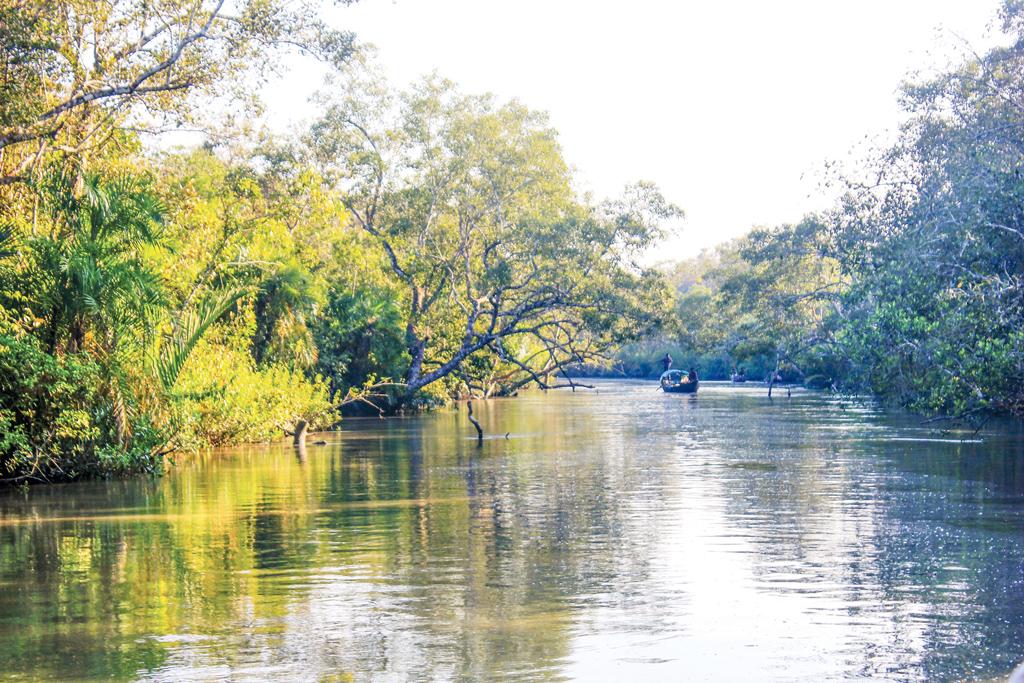 জলে জঙ্গলে সুন্দরবনে