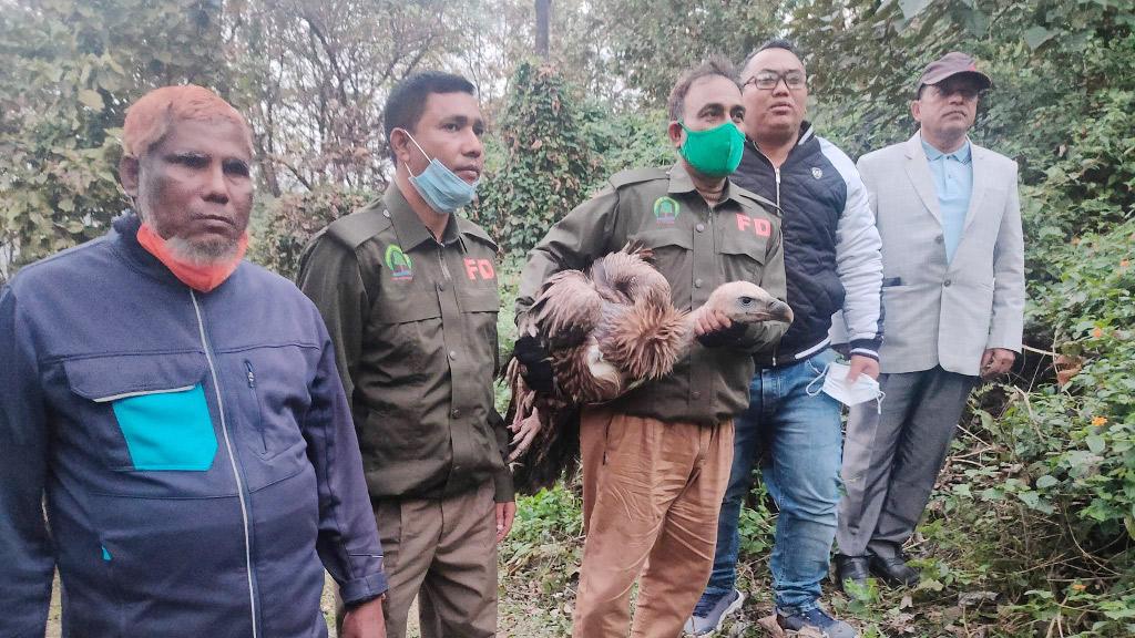 পরিযায়ী শকুনটি আবার উড়ল