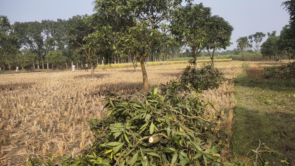 একজনের অত্যাচারে অতিষ্ঠ পুরো গ্রামের মানুষ