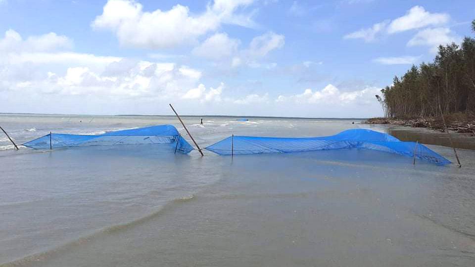 উপকূলে অবাধে রেণু শিকার