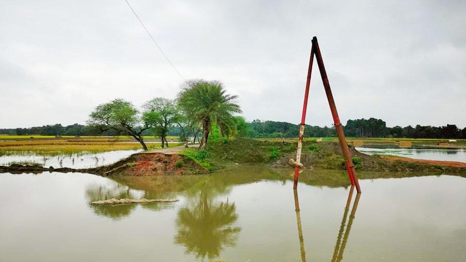 এক বছরেও হয়নি সেতু