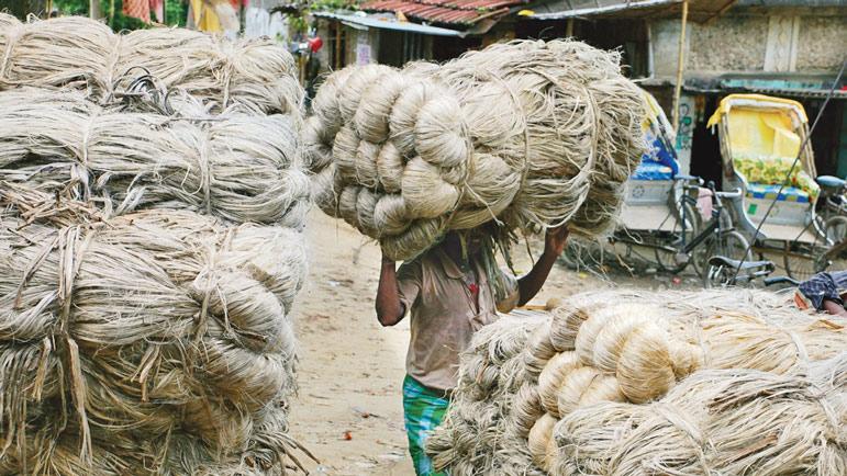 কাঁচা পাট মজুতের বিরুদ্ধে হবে বিশেষ অভিযান