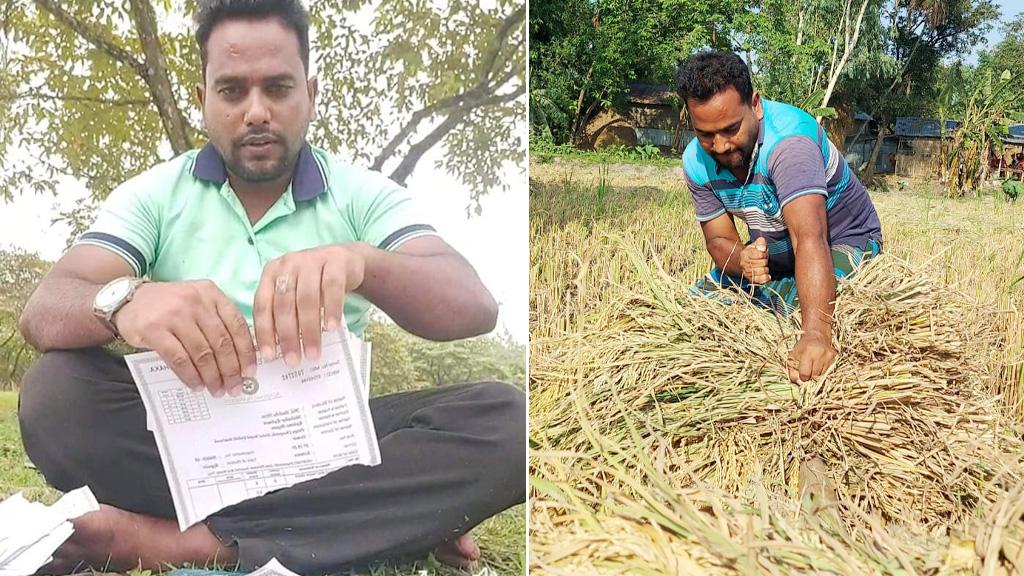 ফেসবুক লাইভে সনদ ছিঁড়ে ফেলা সেই বাদশা এখন কৃষক