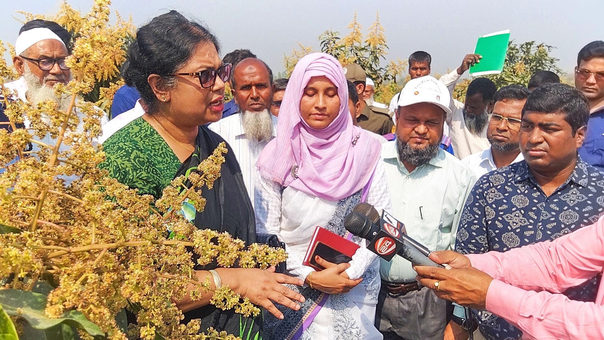 চাঁপাইনবাবগঞ্জে আম কেন্দ্রিক শিল্পাঞ্চল গড়ে তোলা হবে: কৃষি সচিব