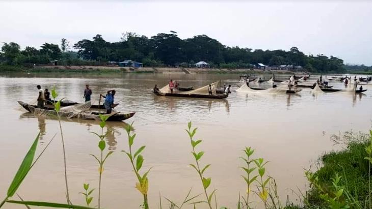 হালদায় কমেছে লবণাক্ততা, পূর্ণ ডিম ছেড়েছে মা মাছ