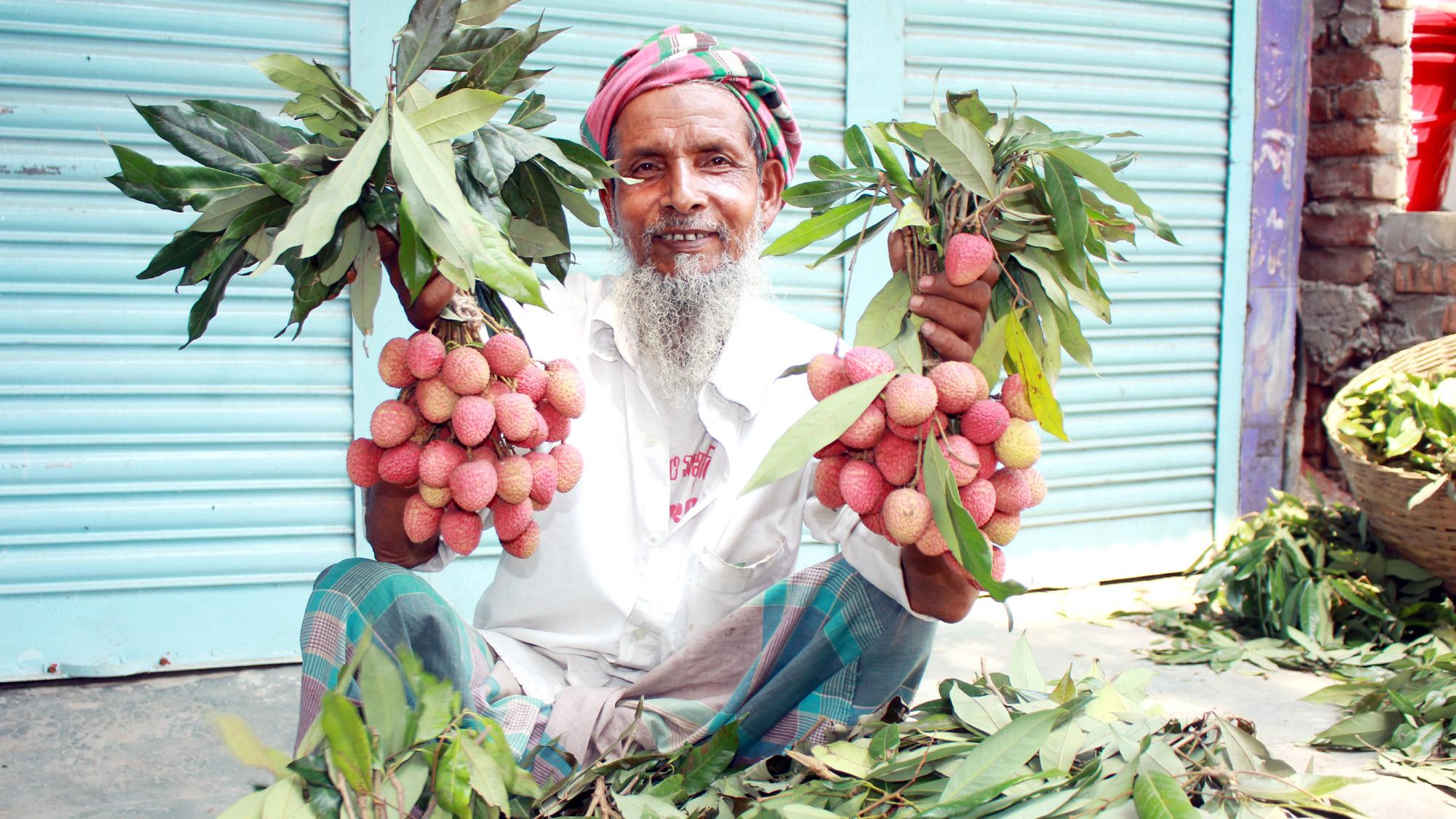 ফুলবাড়ীতে জমজমাট মিষ্টি লিচুর বাজার