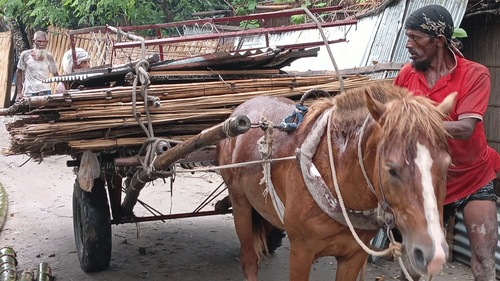 চিলমারীতে ব্রহ্মপুত্রের ভাঙন, হুমকিতে ৬ শতাধিক বাড়িঘর