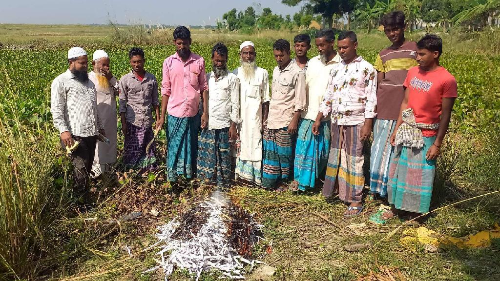 শিবচরে পোড়ানো হলো প্রায় ৮০ হাজার ইঁদুরের লেজ