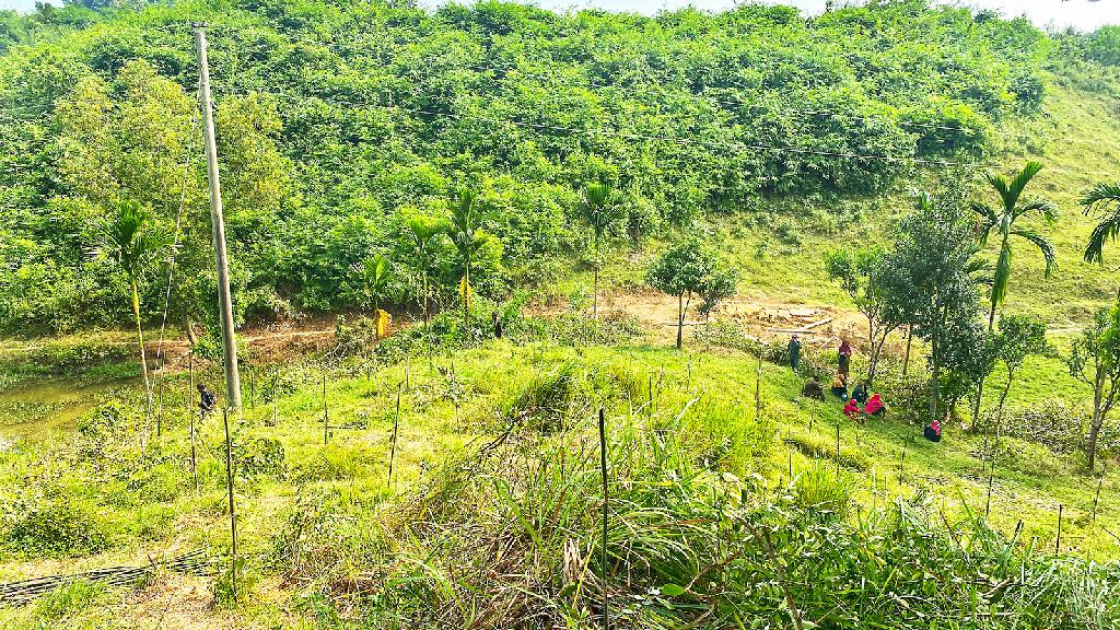 লাউয়াছড়া জাতীয় উদ্যান: সীমানা কত দূর জানে না বন বিভাগও