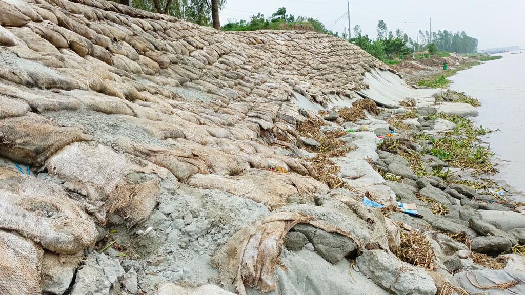 নদীর তীর রক্ষা বাঁধ নির্মাণ: বালু-সিমেন্ট জমাট বাঁধেনি, খসে পড়ছে বস্তা