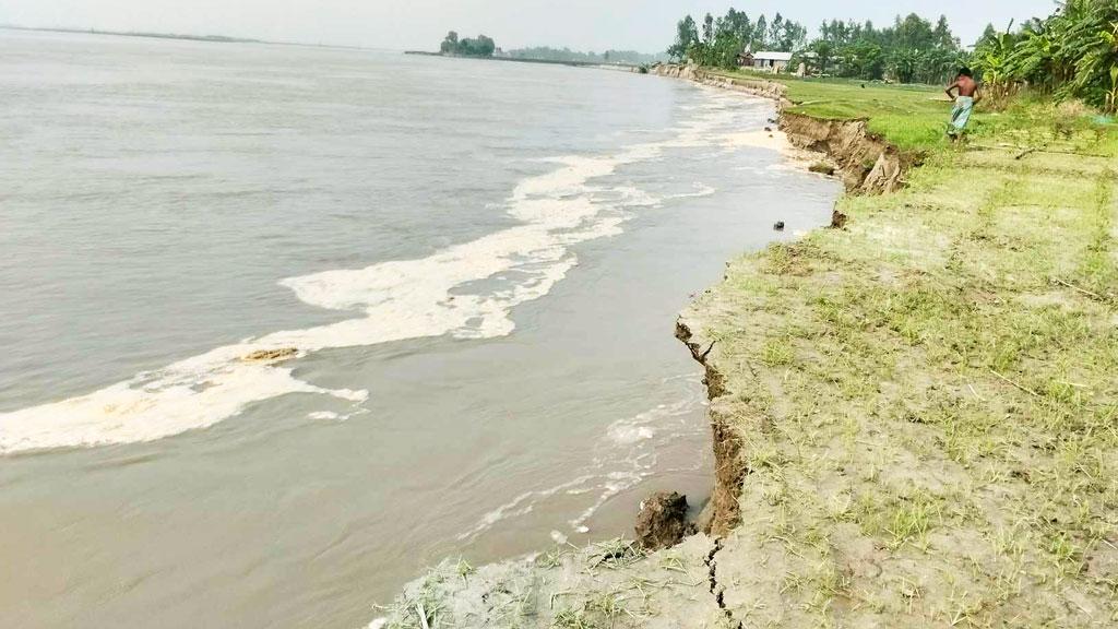 ইসলামপুরে চরাঞ্চলে বাড়ছে যমুনার পানি, ভাঙছে নদীর পাড়