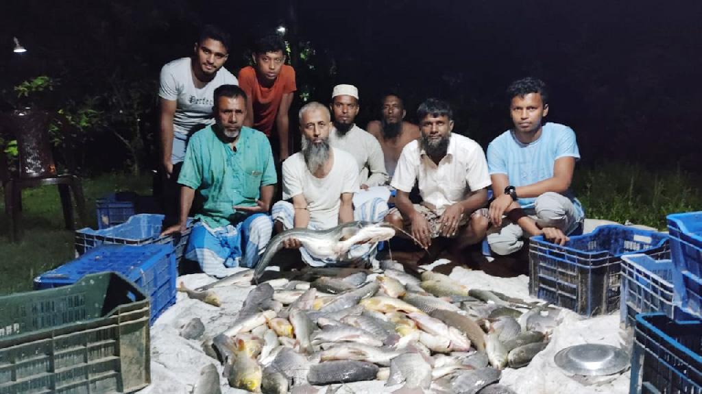 বাণিজ্যিকভাবে বোয়াল চাষ করে সফল ঢাবি শিক্ষার্থী শহীদুল