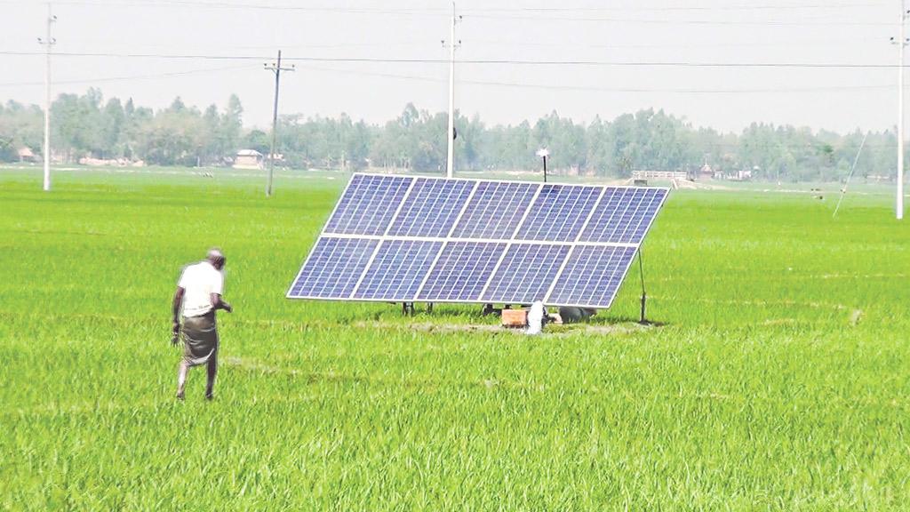 স‌লেমানের সোলার পাম্পে চিন্তামুক্ত হাজা‌রো কৃষ‌ক