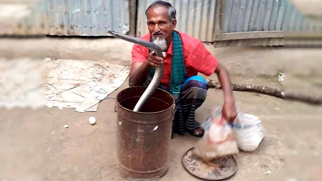 শখ থেকেই পেশা সাপ ধরা