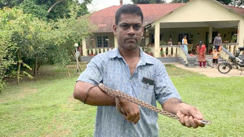 মৌলভীবাজারের শ্রীমঙ্গলে পাওয়া গেছে অজ্ঞাত জাতের সাপ