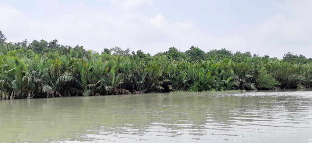 সুন্দরবনে হরিণ শিকারের ফাঁদসহ গ্রেপ্তার ১০ 