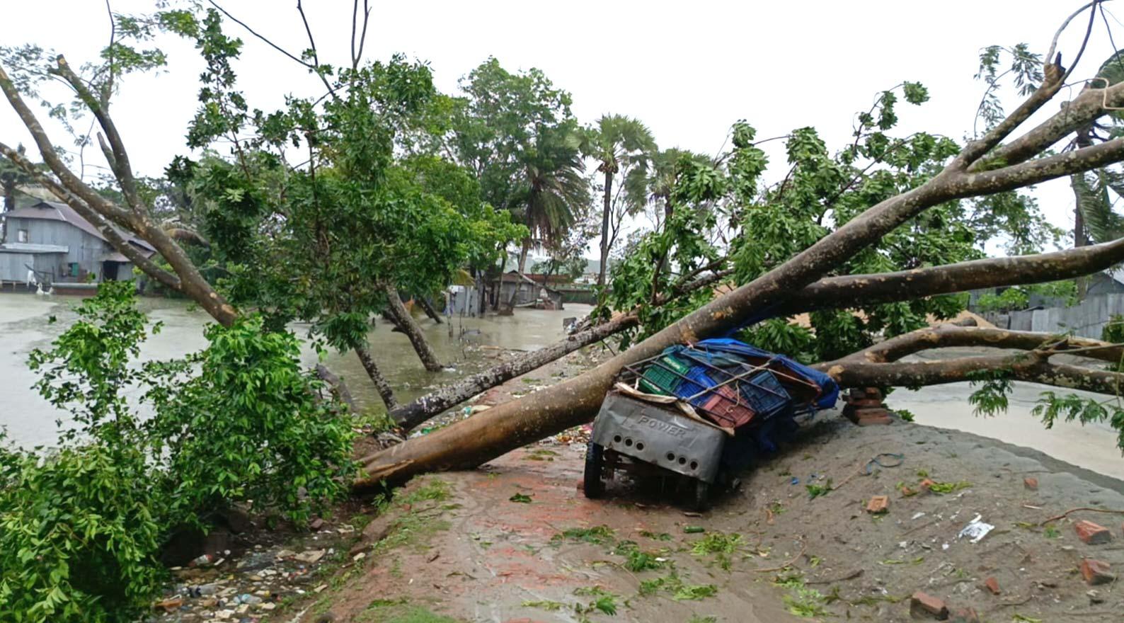 ঘূর্ণিঝড় রিমালে কলাপড়ায় ব্যাপক ক্ষতি, উপড়ে পড়েছে বহু গাছপালা