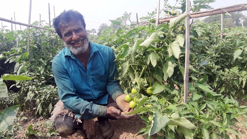 জৈব কীটনাশকে কমেছে খরচ, বেড়েছে ফলন