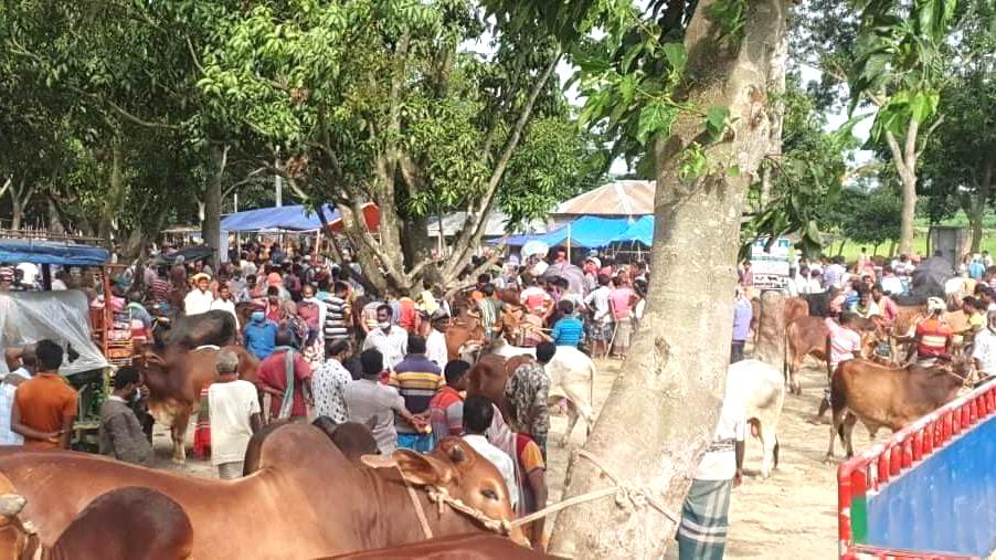 মিরপুরে বিধিনিষেধ ভেঙে গরুর হাট