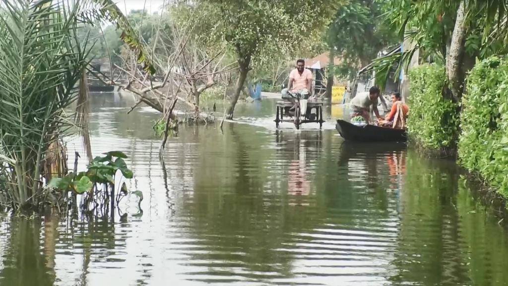 সাতক্ষীরায় মাছচাষিদের ক্ষতি ৬৩ কোটি টাকা