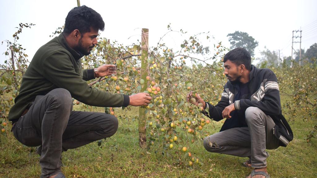 কৃষিতে ৩ যুবকের বাঁচার স্বপ্ন