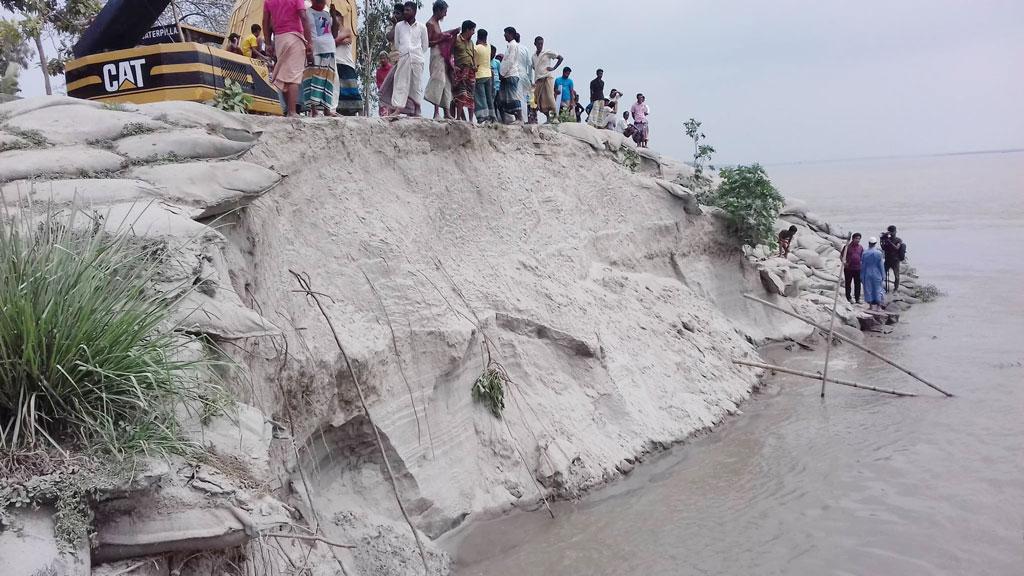 ৭০০ বিঘার ধান যমুনার পানির নিচে